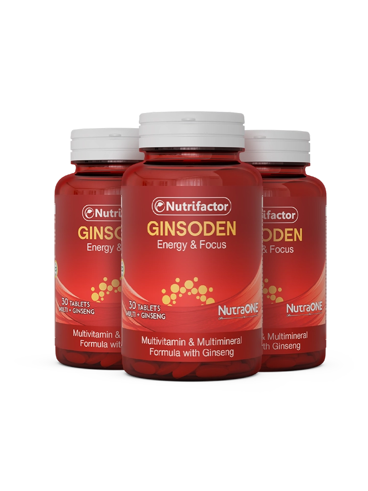 GINSODEN